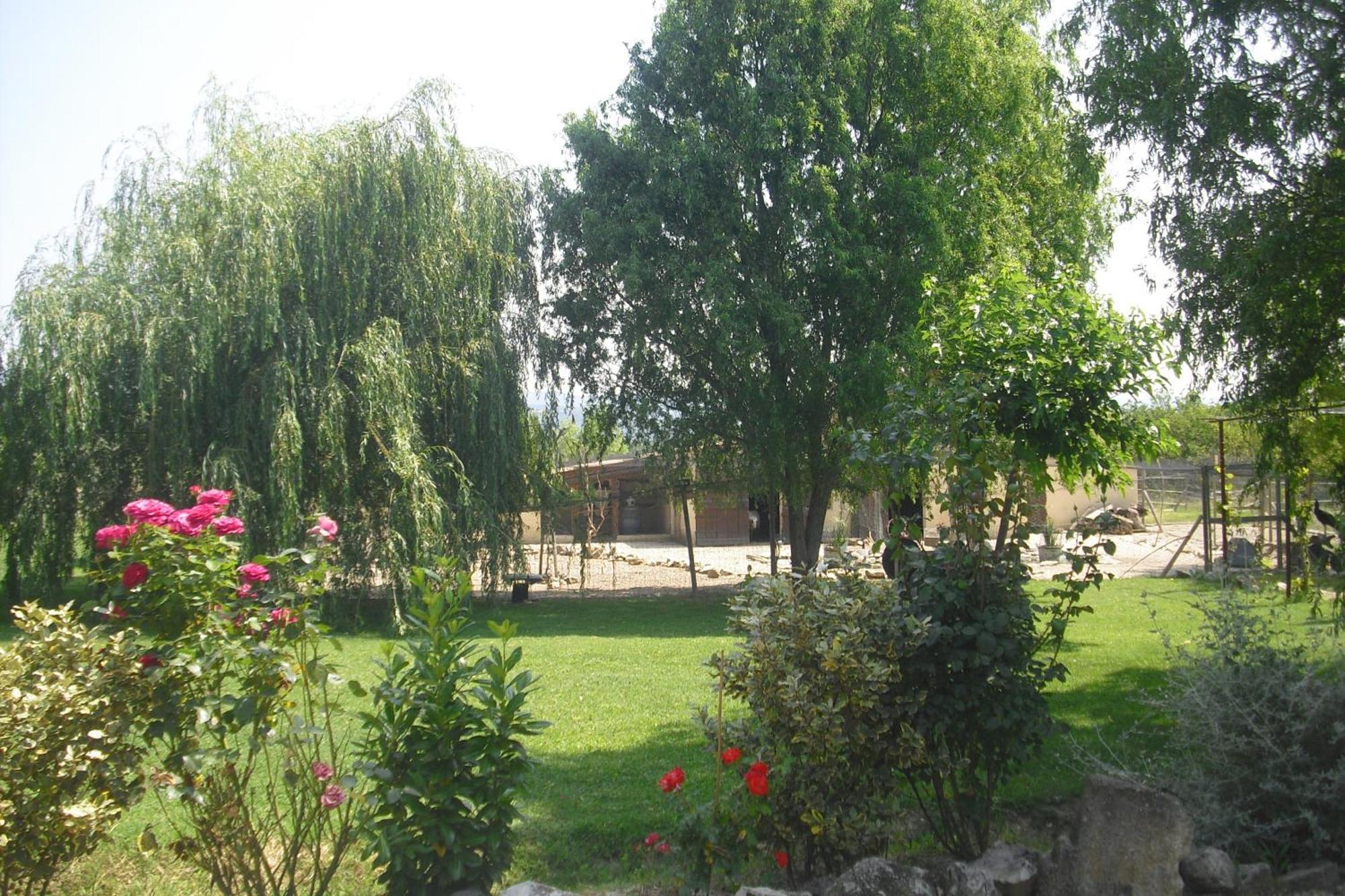 Lou Mas Li Pitchoun "La Melonniere" Apartment Gordes Exterior photo